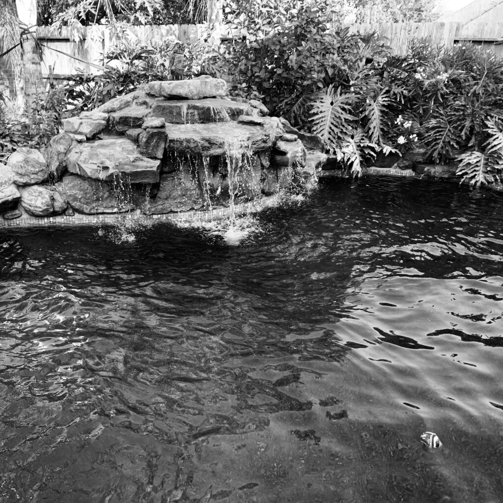 our good friend's birthday