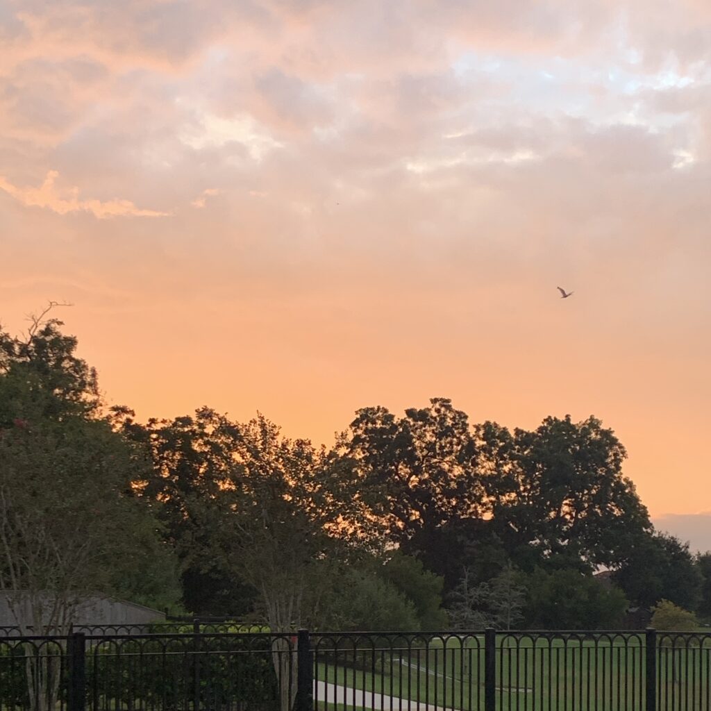 I love the mornings when I wake up before 6 AM, without an alarm clock.