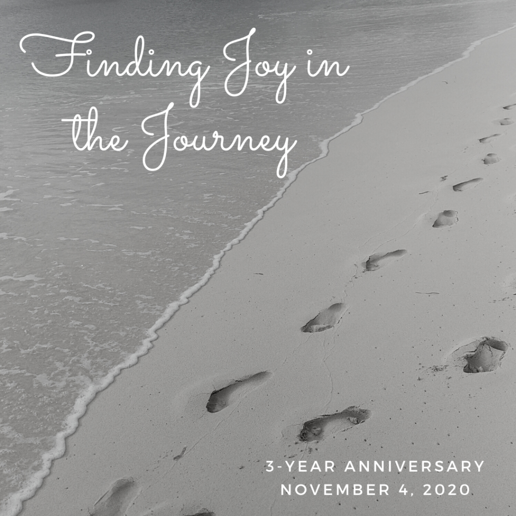 Joy in the Journey day