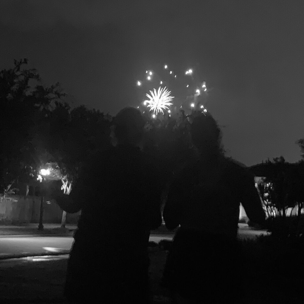 I love fireworks. As a kid, we would always watch the fireworks on the 4th of July