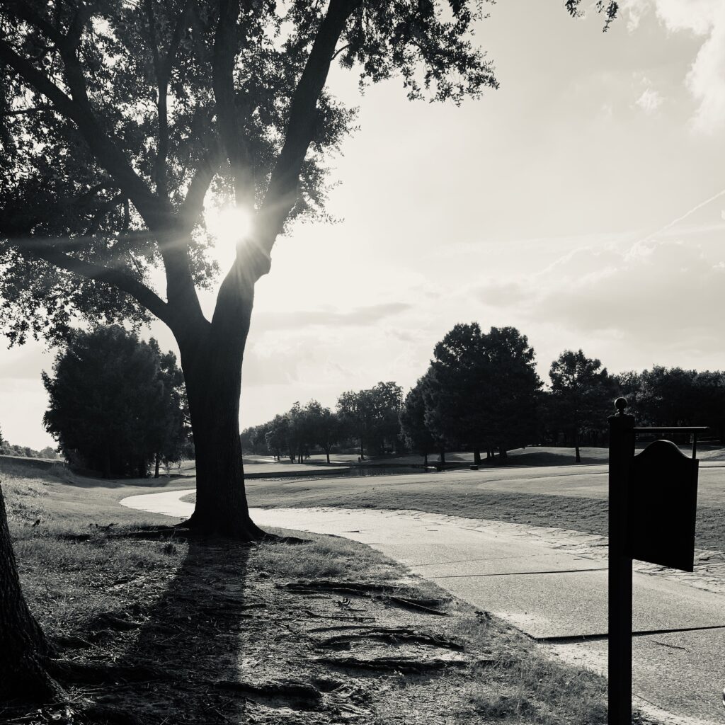 As I sat in the golf cart and watched Steve tee off on #7 on Cypress, a smile crossed my face