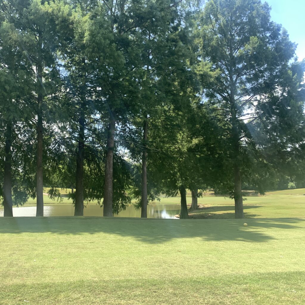 I have always loved spending time outdoors. As a kid, I would spend hours and hours outdoors during the summer