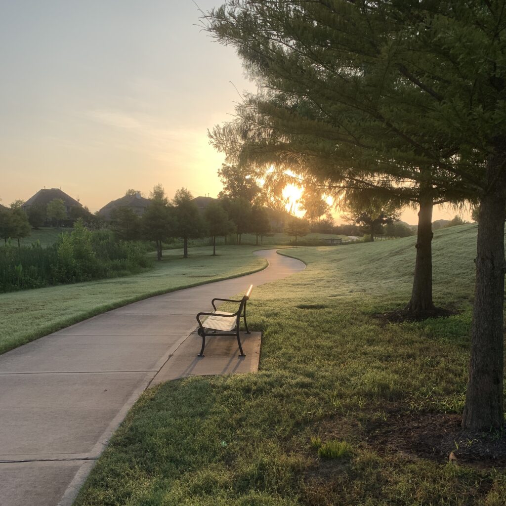 I love my walks around the lake by my house