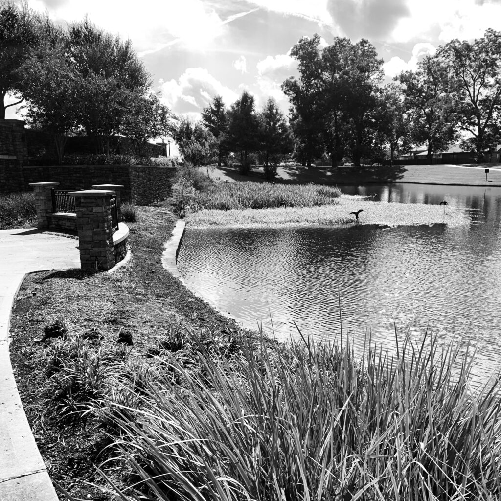 Back from our road trip. In time to take a walk along the lake, before my first set of meetings for the day. I love being able to design my life and create a balance between work and play.